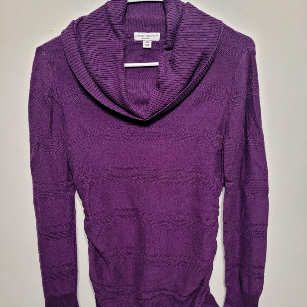 Liz Lange Maternity Sweater